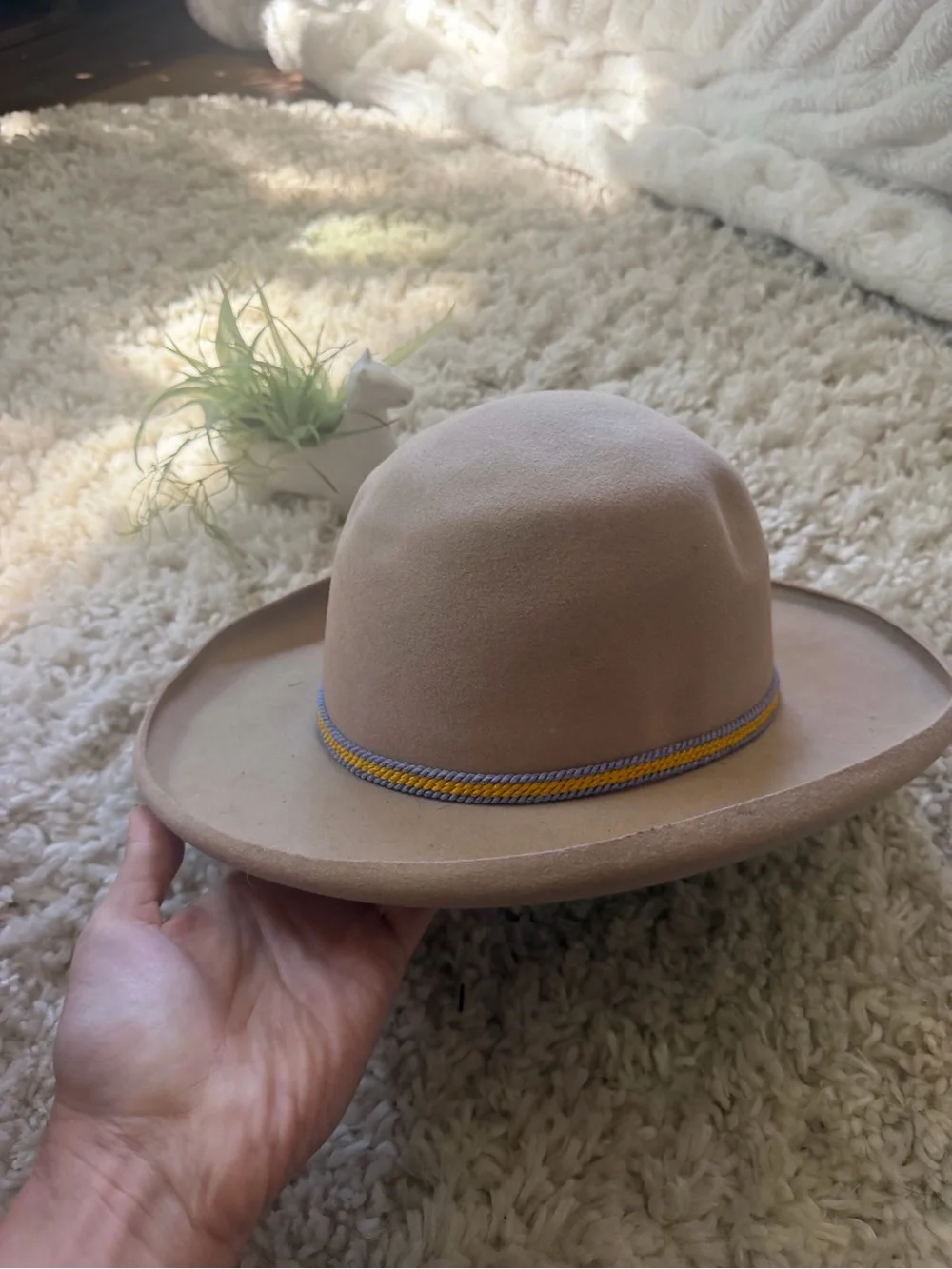 Neutral Buffalo days Regina Tan Felt Ranch Hat with Decorative Cord 7 3/4